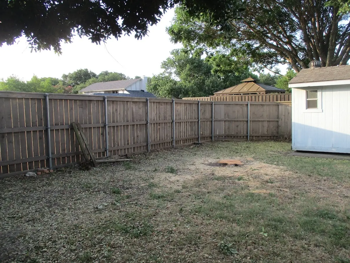 Cleared yard after professional tree removal in Wickhaven