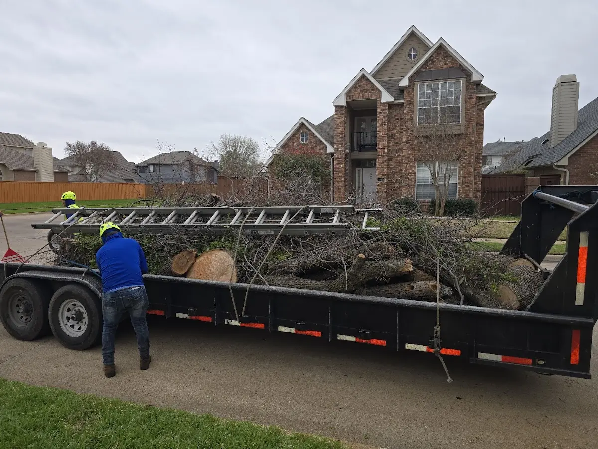 Expert Tree Pest Control with proper safety equipment in Wickhaven